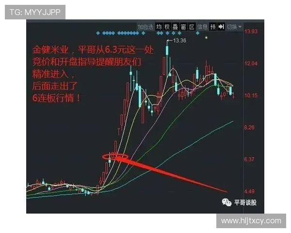 武汉滑板队与成都滑板队赛后复盘分析团队配合与战术执行的关键要素