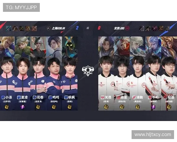 王者荣耀巨献：探秘JDG的配合